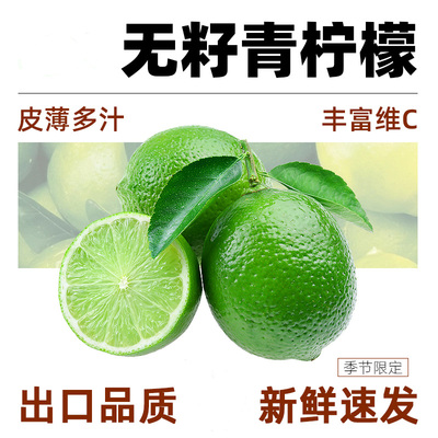 福建塔希提无籽青柠檬新鲜水果