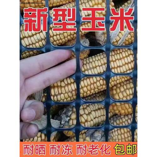 加厚塑料网格养殖网玉米网玉米架子围网苞米篓子围栏网特厚防护网