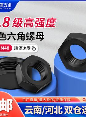 GB6170高强度六角螺母 黑色8级六角螺母螺帽螺栓帽 螺丝帽 M3-M48