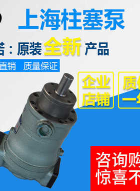 10SCY 25SCY 16SCY 32SCY 108SCY 250SCY 400SCY14-1B/轴向柱塞泵