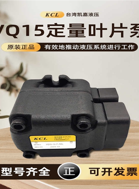 KCL凯嘉VQ15 VQ25 35 VQ45 VQ215 VQ225 VQ325 VQ425 VQ435双联泵