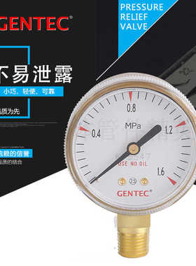 美国捷锐减压阀NTEC 压力表 压力计 铜压力表