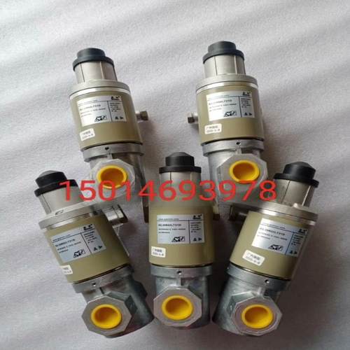 【汇生】SG20RS/220施能慢开电磁阀SG25RS/220【议价】