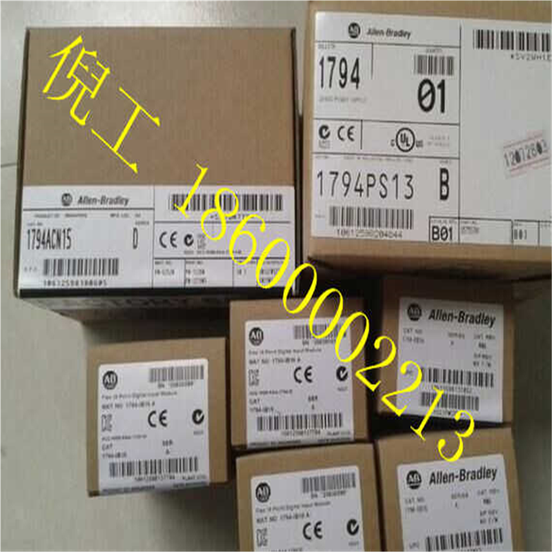 1769-PA2模块 AB PLC控制器罗克韦尔处理器 1769PA2大量现货供应