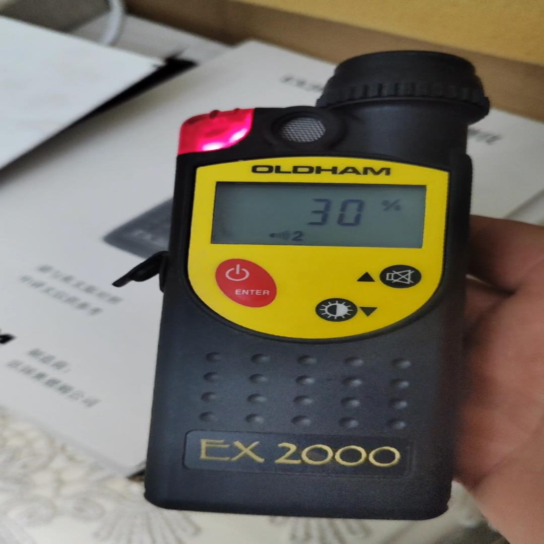 法国OLDHAM(奥德姆) EX2000可燃气体检仪.议价，【鑫鑫商铺】