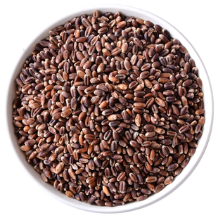 新货东北黑小麦粒带皮全麦胚芽磨面粉面条原料北方含麸皮黑小麦子