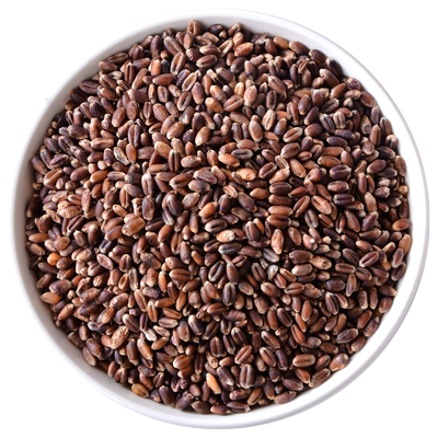 新货东北黑小麦粒带皮全麦胚芽磨面粉面条原料北方含麸皮黑小麦子