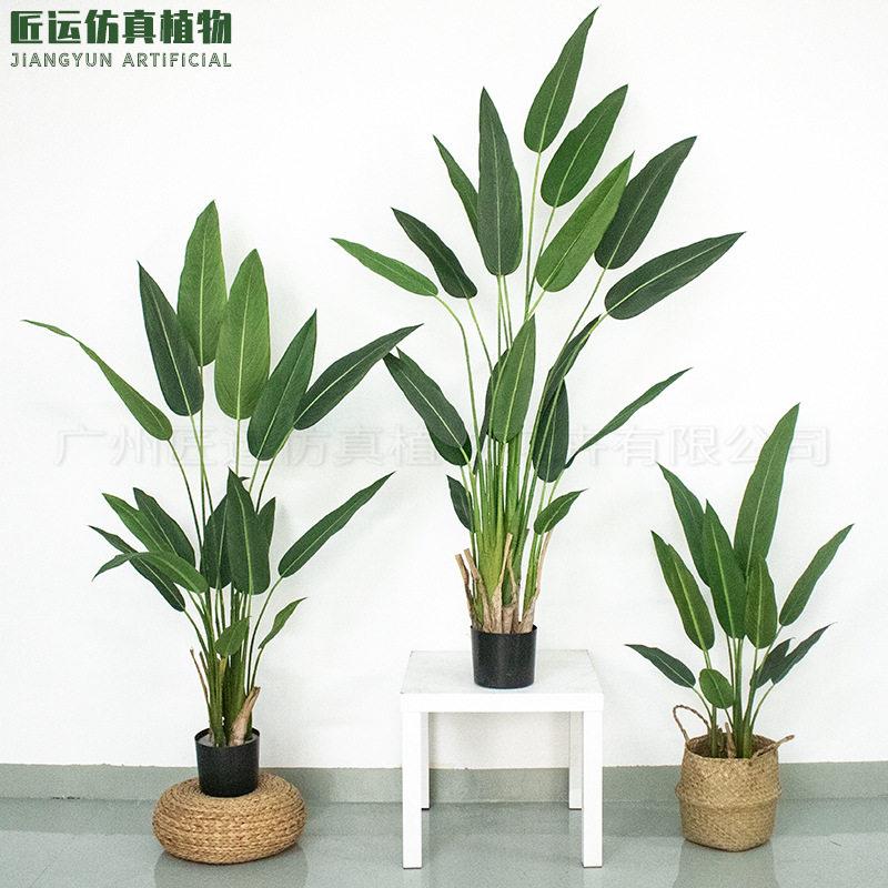 匠运仿真天堂鸟盆景人造带花鹤望兰绿植仿真天堂鸟摆件装饰造景