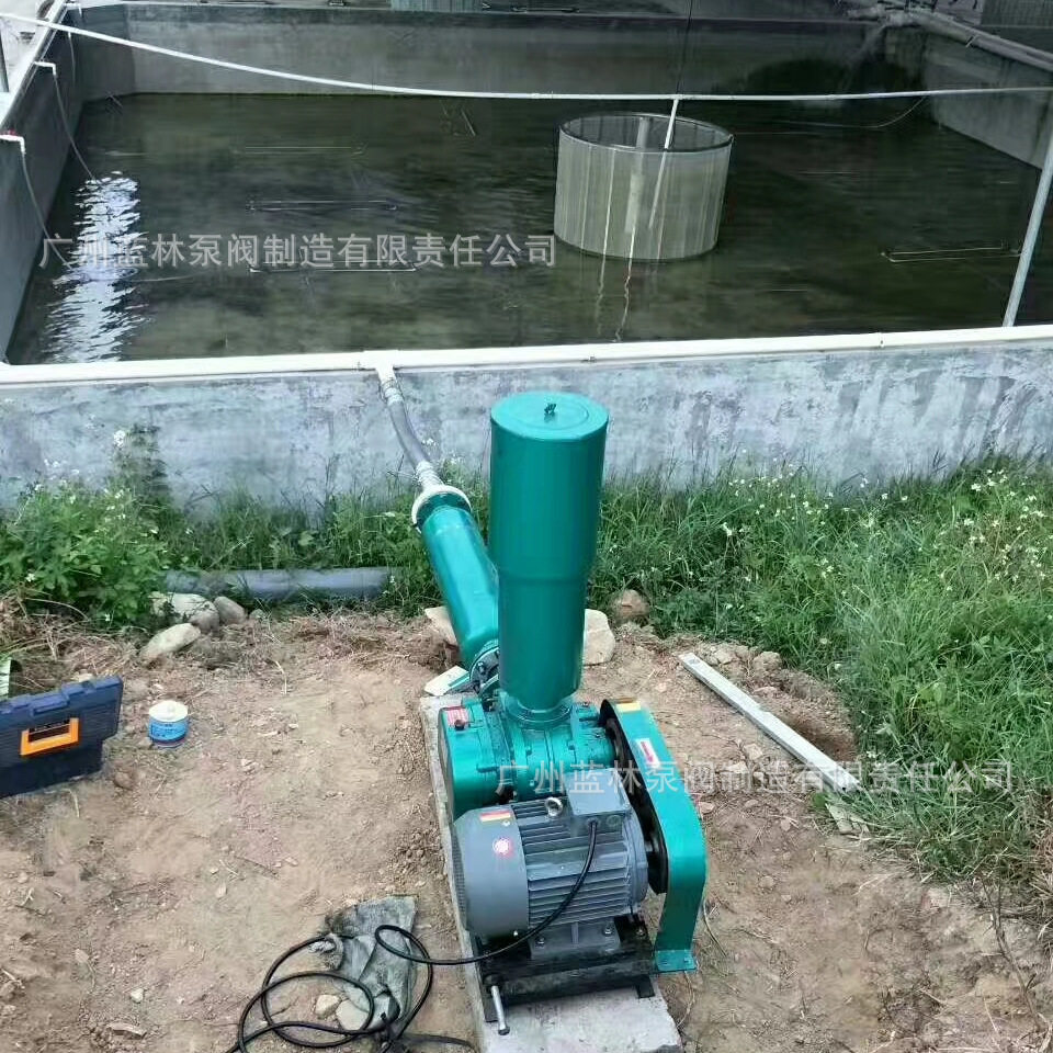 耐高温罗茨鼓风机回转式鼓风
