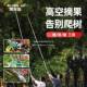 采枇杷水果荔枝杨梅伸杆工摘具高空修园艺枝花木高枝97832缩剪
