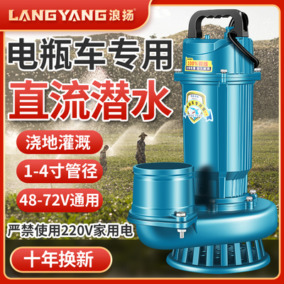 浪扬电瓶车专用无刷直流潜水泵