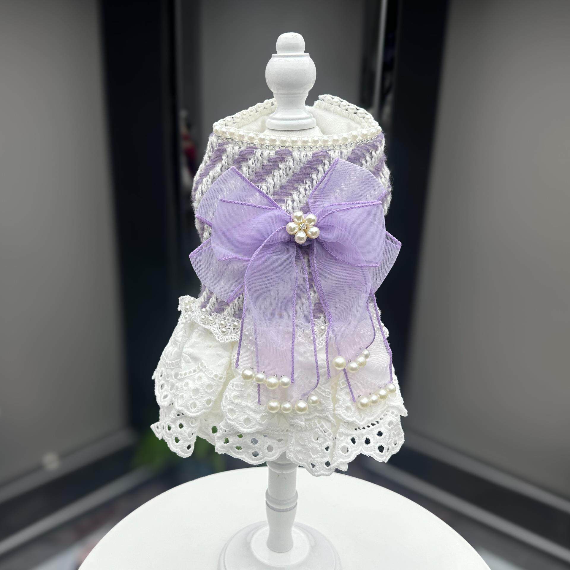 中高档高级感小狗衣服小型犬可爱的公主裙加绒加厚宠物衣服