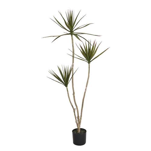 沙漠绿植千年木剑麻家居客厅落地装饰植物大型假树木龙舌真