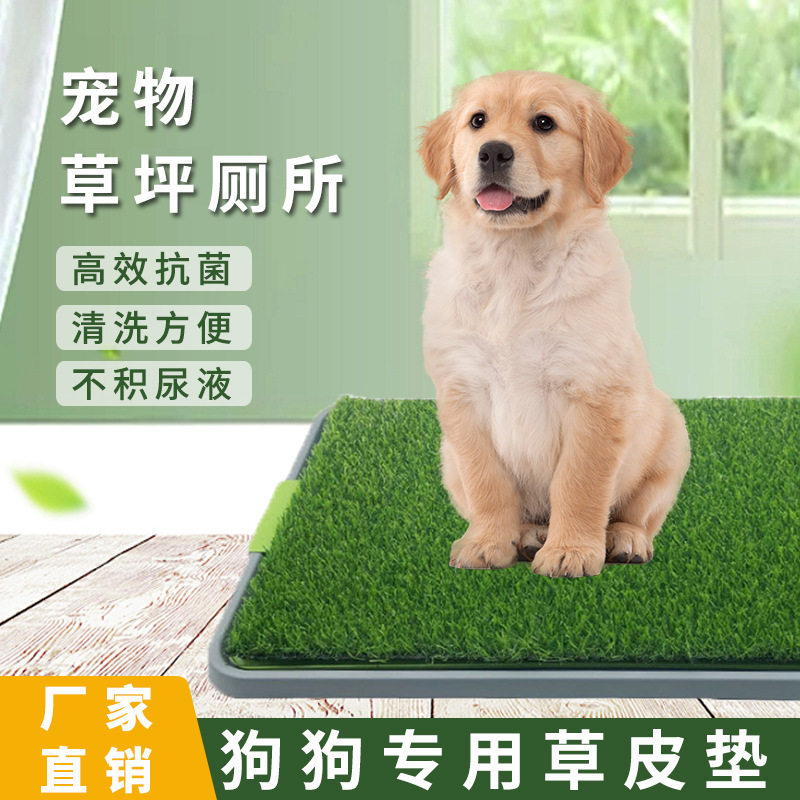 亚马逊爆款宠物厕所超大号狗尿盆