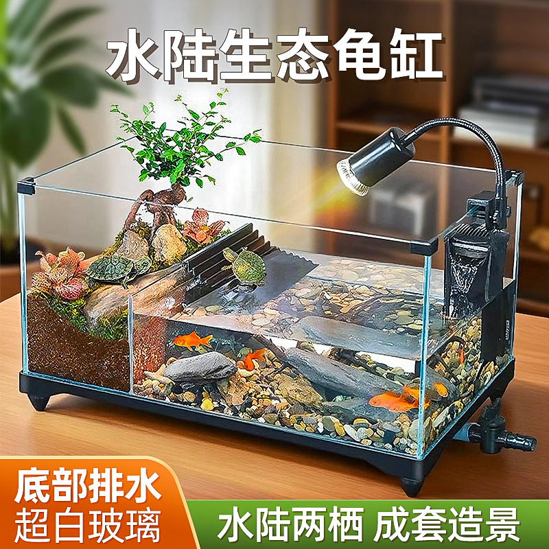 水陆两栖分离超白黄缘乌龟造景缸
