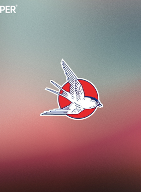 TLP反光车贴 燕子Swallow日式汽车纹身鸟类动物图腾潮贴防水遮痕