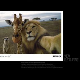 入乡随俗拍立得风平面贴纸 狮王鹿狐獴自拍 RETLPER反光车贴 原创