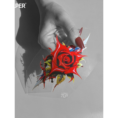 贴纸原创沙漠中盛开的血红玫瑰