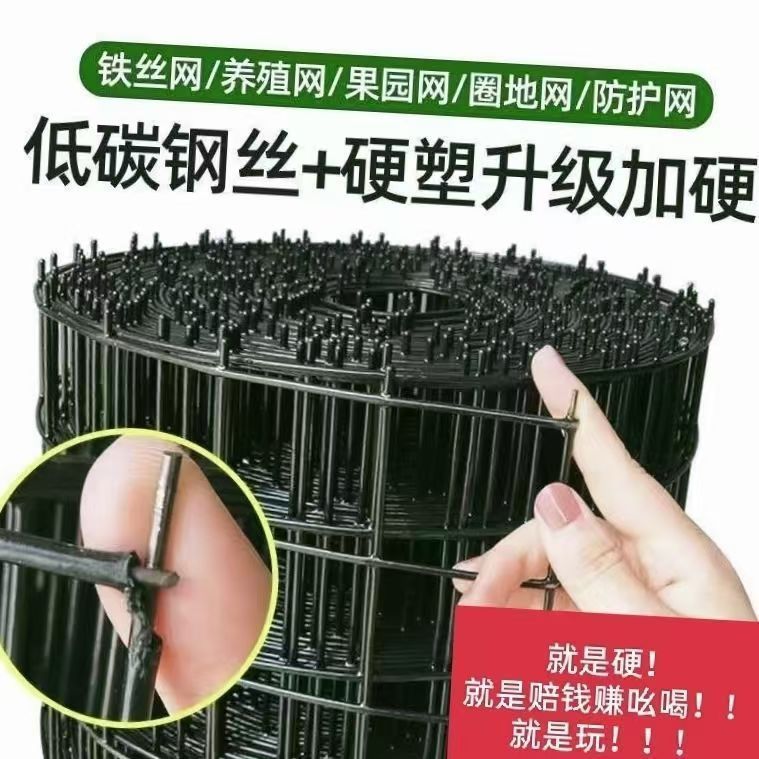 硬塑铁丝网养殖鸡围栏网