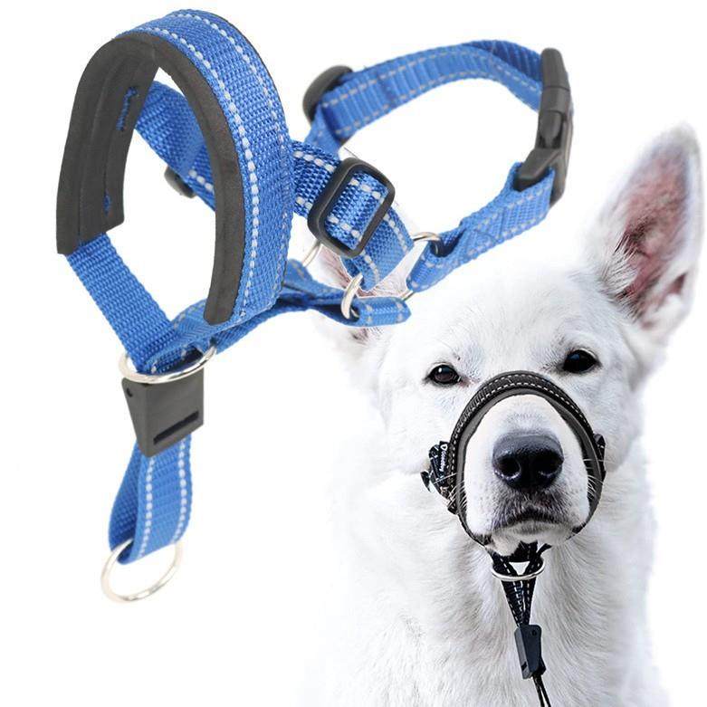 跨境狗嘴套防叫防咬可调节宠物嘴套尼龙嘴绳狗口罩透气狗狗嘴罩,宠物/宠物食品及用品,嘴套,淘宝优惠券,粉丝福利购,淘宝优惠卷