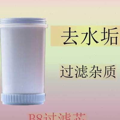 现货速发去滤垢过滤饮水机净水W水桶家用直饮用可加水水净水器前