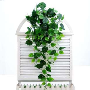 仿真植物壁挂藤条花艺装饰树叶吊篮绿植墙塑料吊兰绿萝仿真花
