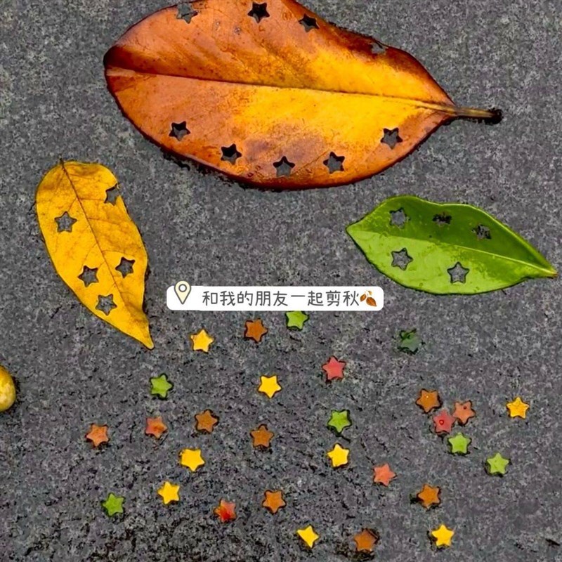 速发枫叶打孔器星星爱心压花器手工五角星手帐素材小型单孔压花机