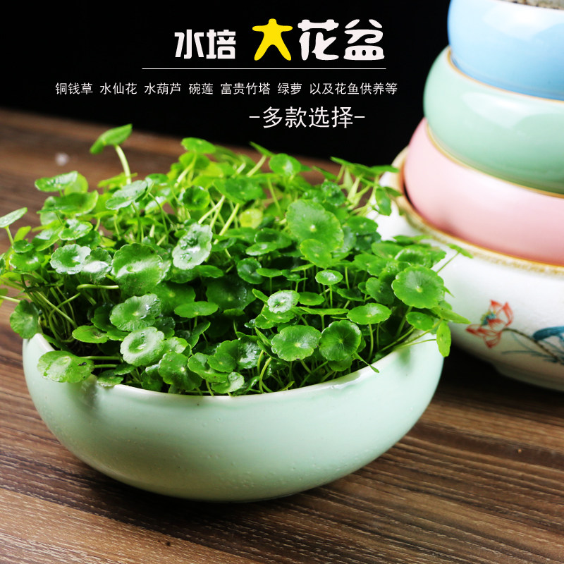 速发水培花盆水培陶瓷盆拼仙花盆铜钱草碗莲花盘多肉水盆大号
