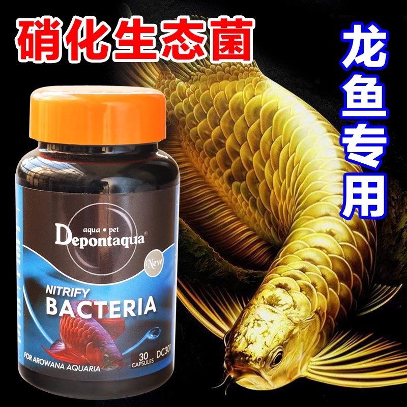 速发大禹粉邦水鱼硝化细菌鱼缸用净龙剂水族硝化菌活菌干德消化细