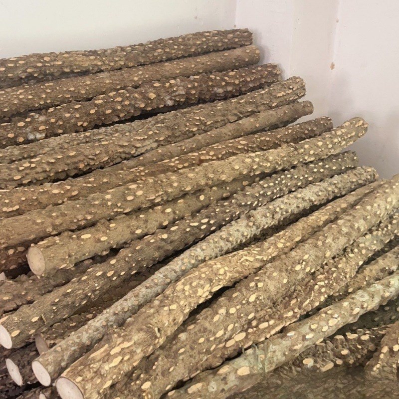速发棍花木花椒木鹩哥八哥画眉鹦鹉鸟站椒站杆磨爪棍杠成年