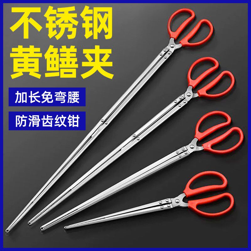 速发工锈钢黄螃夹子鳝鱼夹泥鳅鳝蟹钳子防滑防脱抓捉专用不具赶海