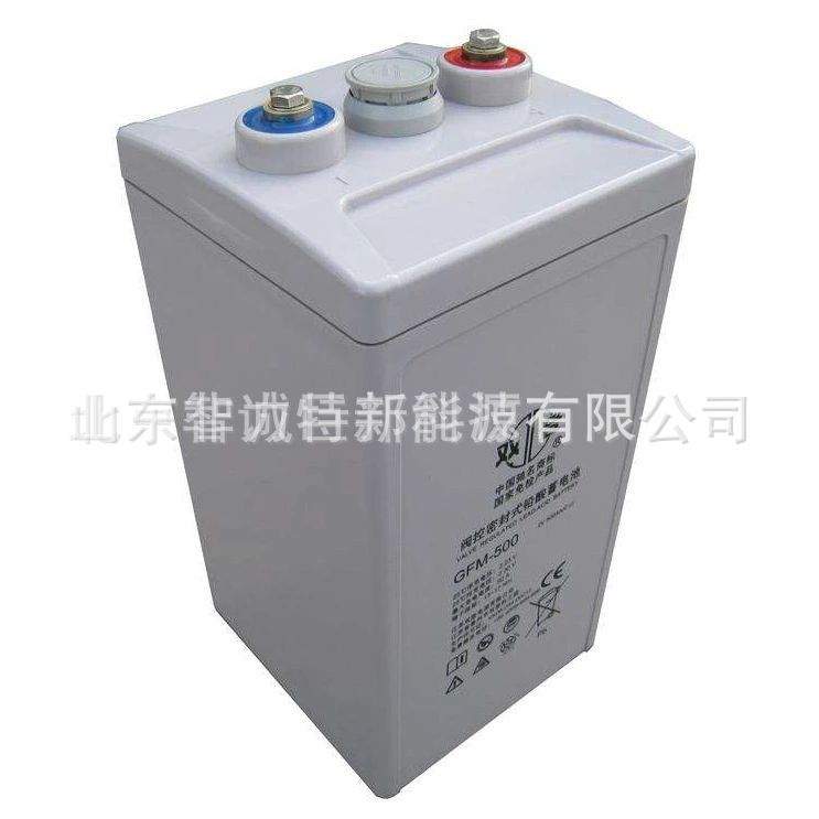 双登蓄电池GFM-1000 免维护 2V1000AH 通讯机房UPS电源 电力系统