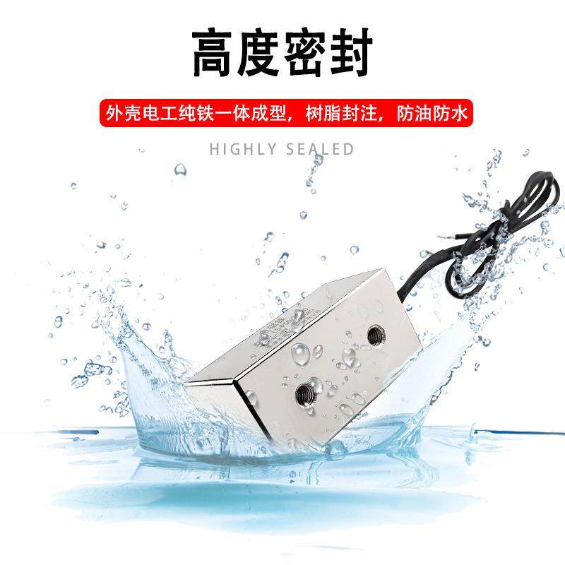 朗硕直流工盘VEJ业牵引电吸/长方形电磁铁LS-P7035/0大吸力380KG,鲜花速递/花卉仿真/绿植园艺,割草机/草坪机,淘宝优惠券,粉丝福利购,淘宝优惠卷