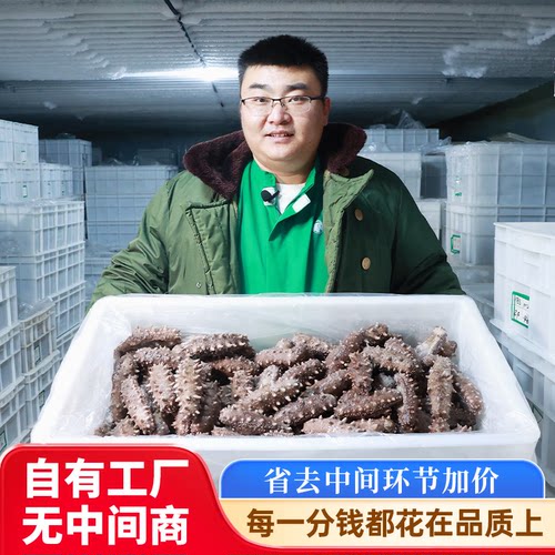 小兵海参鲜食即食海参官方旗舰店 底播辽刺参不挂冰