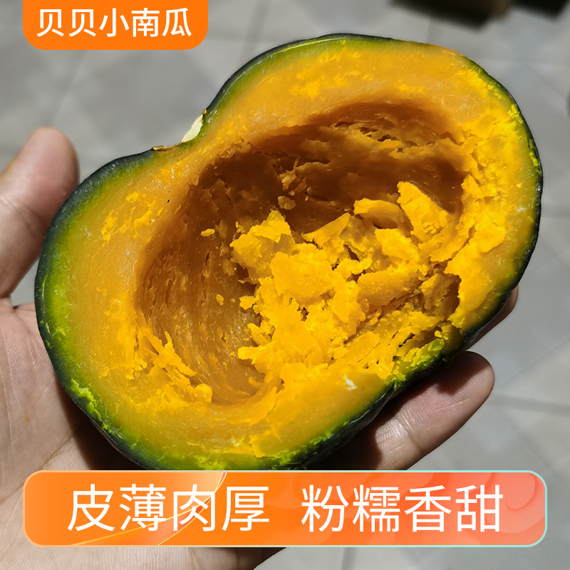 正宗贝贝南瓜板栗味粉糯香甜老瓜