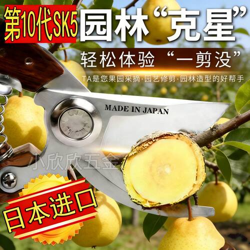 日本进口园林粗枝剪家用剪树枝剪刀户外农用强力新款SK5修枝剪刀