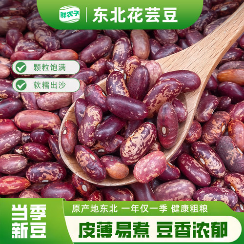 东北花芸豆2025新货大粒农家饭豆特产大碴粥五谷杂粮红芸豆