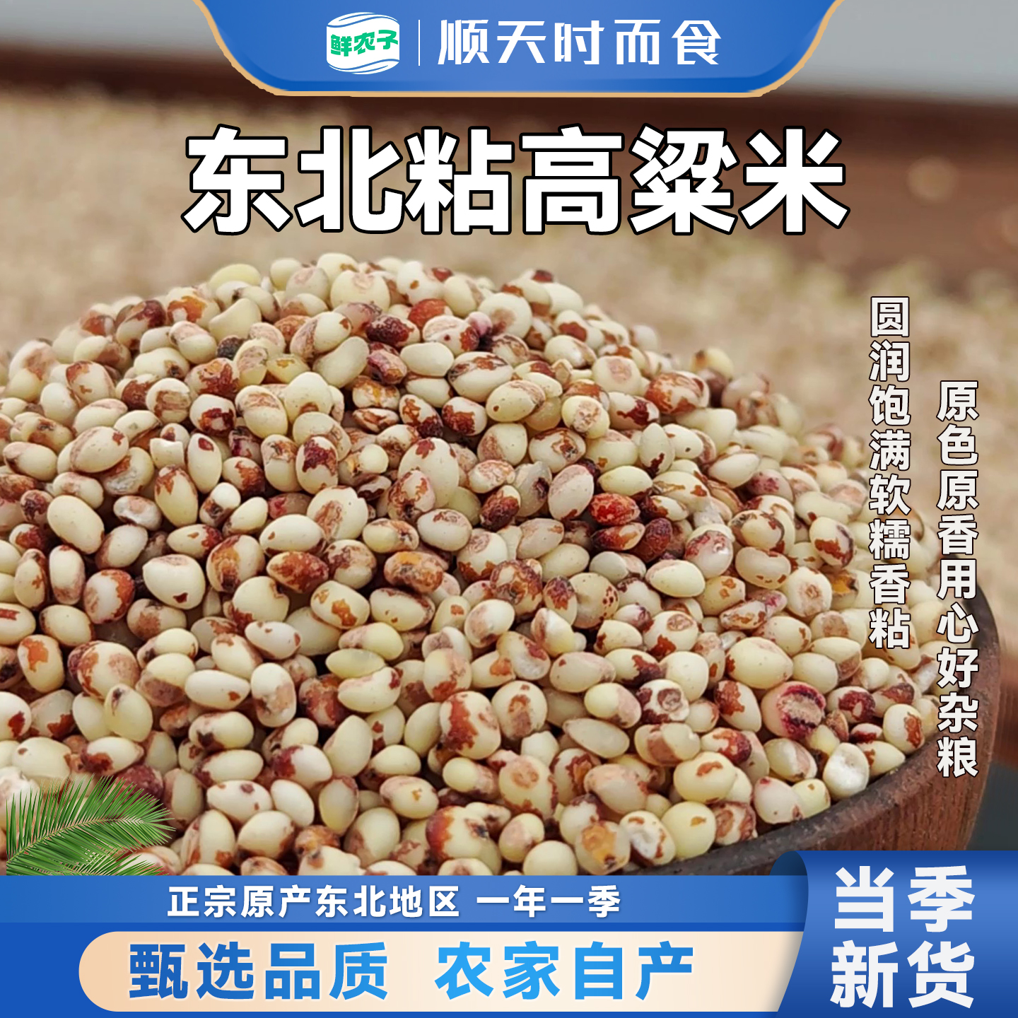 东北正宗粘高粱米农家新米