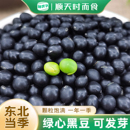 东北绿心黑豆农家新货打豆浆专用五谷杂粮黑小豆青仁绿芯可发芽