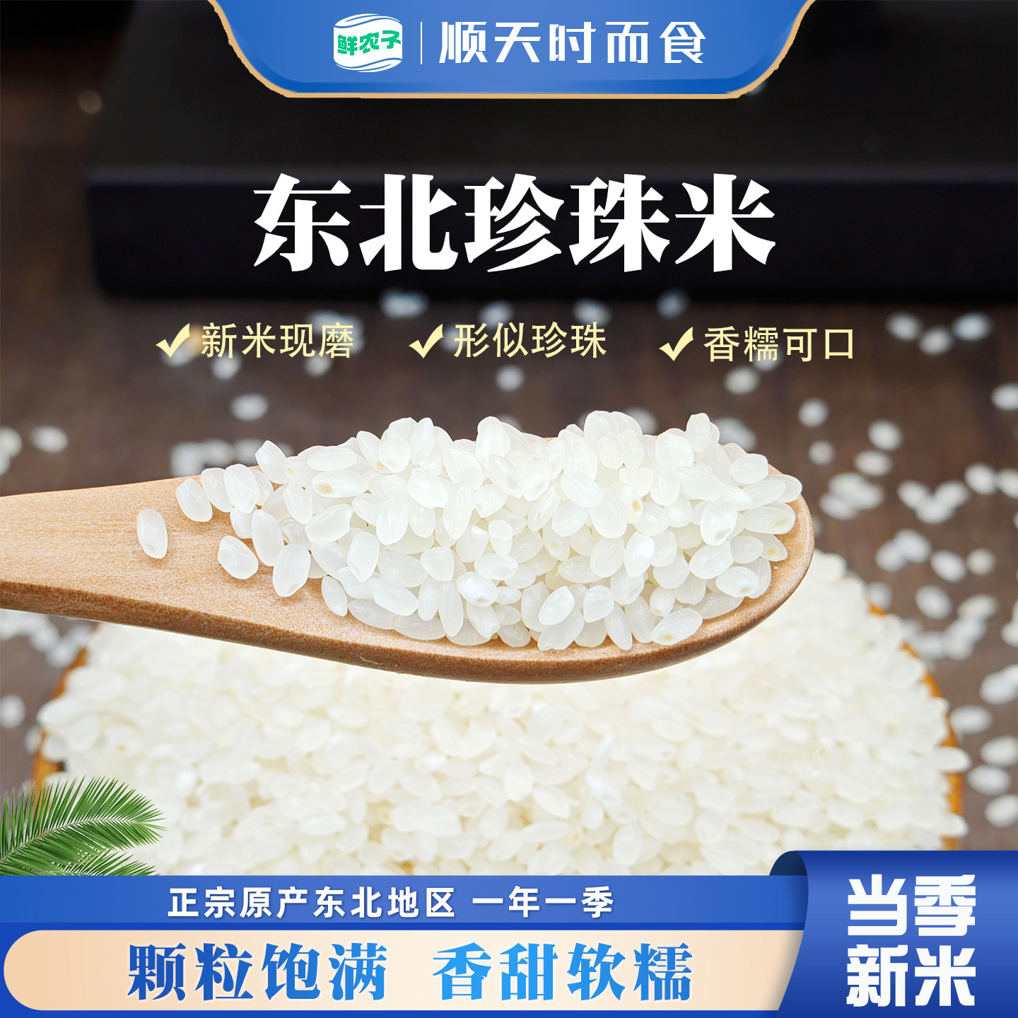 东北珍珠米5斤装圆粒香大米家用煮饭煲粥主食东北稻香米米新大米,粮油调味/速食/干货/烘焙,大米,淘宝优惠券,粉丝福利购,淘宝优惠卷