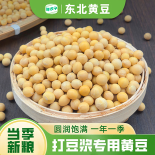 东北黑龙江黄豆25年农家自产老品种大豆5斤打豆浆发豆芽专用豆类