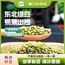 东北新绿豆五谷杂粮精品小绿豆发芽新鲜农家可发芽颗粒饱满绿豆粥
