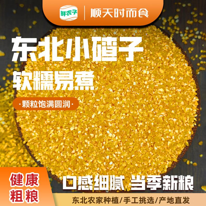 东北小碴子新粮玉米糁玉米渣子农家玉米茬五谷杂粮玉米碎煮粥粗粮