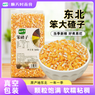东北玉米笨大碴子新货农家自产玉米渣玉米糁五谷杂粮笨苞米真空装