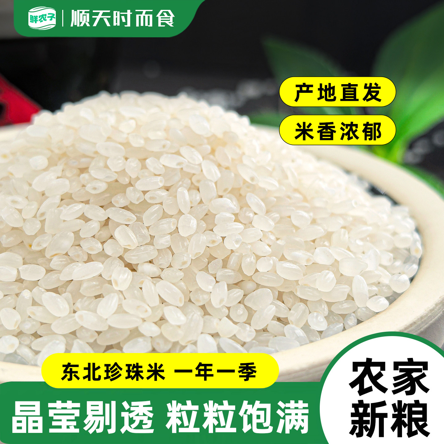 东北珍珠香米现磨新米圆粒珍珠米软糯优选煮饭煮粥圆粒大米2.5KG