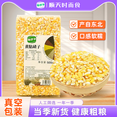 东北粘大碴子真空包装500g玉米糁大碴粥农家新货黄粘大碴子粗粮粥