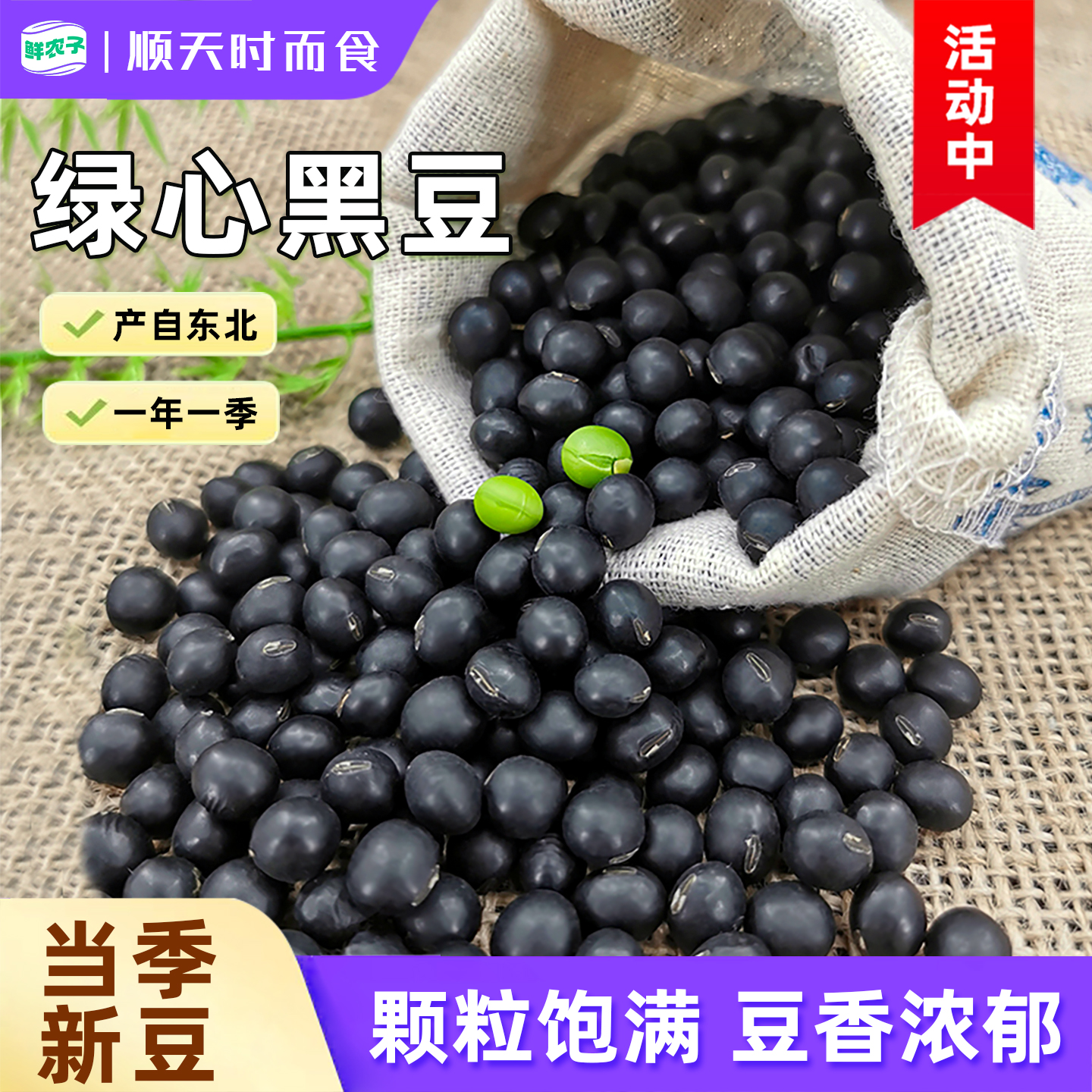 东北农家绿心黑豆青仁黑豆小包装绿心大豆五谷杂粮打豆浆豆浆原料