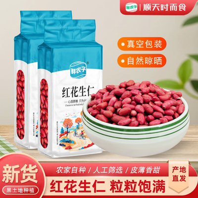真空包装东北红皮花生红衣原味红花生仁脱皮四粒红不带壳2024年新