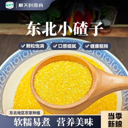 东北小碴子1斤装玉米糁玉米碴小苞米五谷杂粮健康粗粮小碴粥500g
