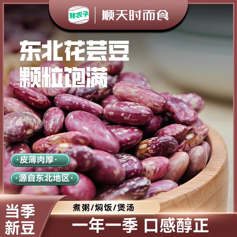东北花芸豆新货大粒农家饭豆特产大碴粥五谷杂粮紫花红芸豆腰豆